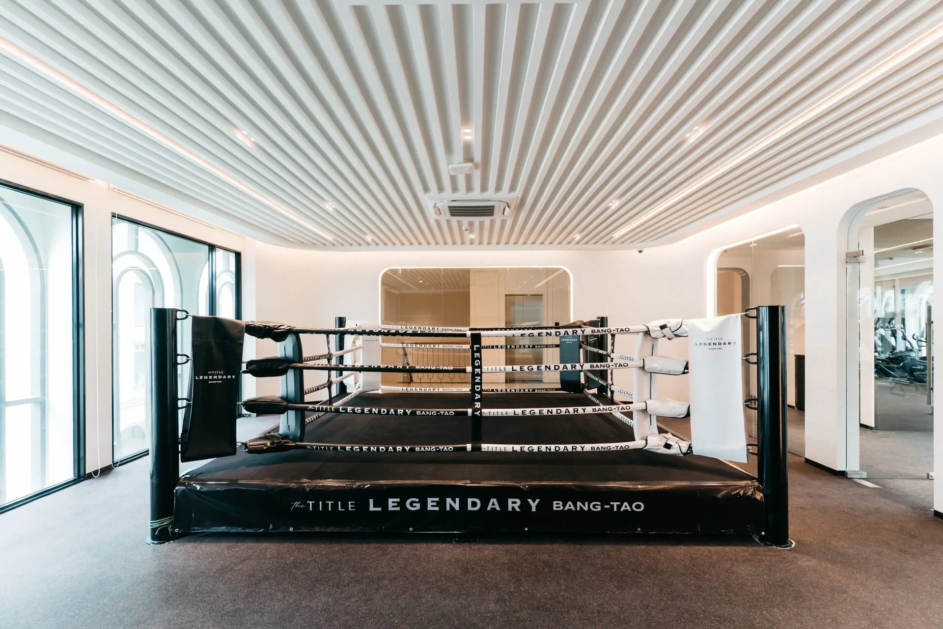 The Title Legendary Bang-Tao: boxing studio
